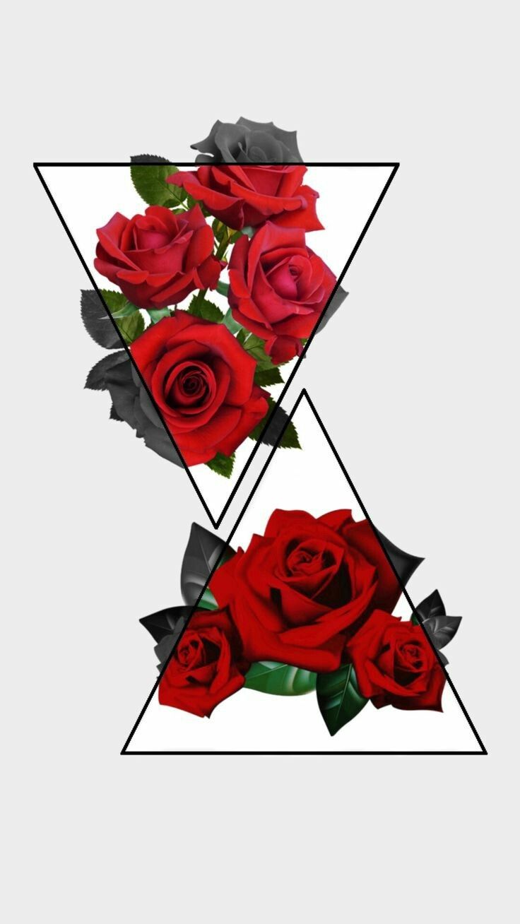 Red Rose Aesthetic Wallpaper On