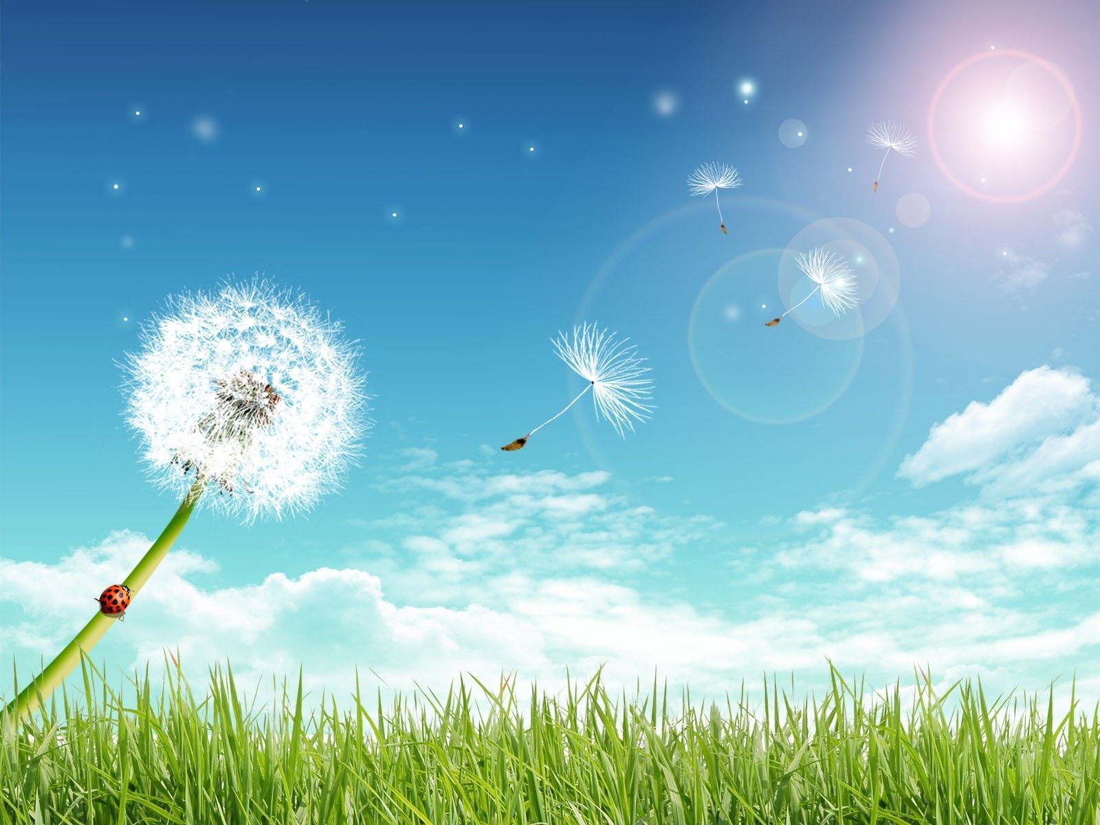 HD Background For Photoshop Group Wallpaper