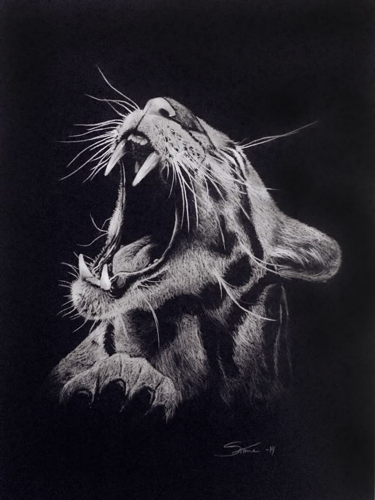 Pencil Drawing Wallpaper Black White