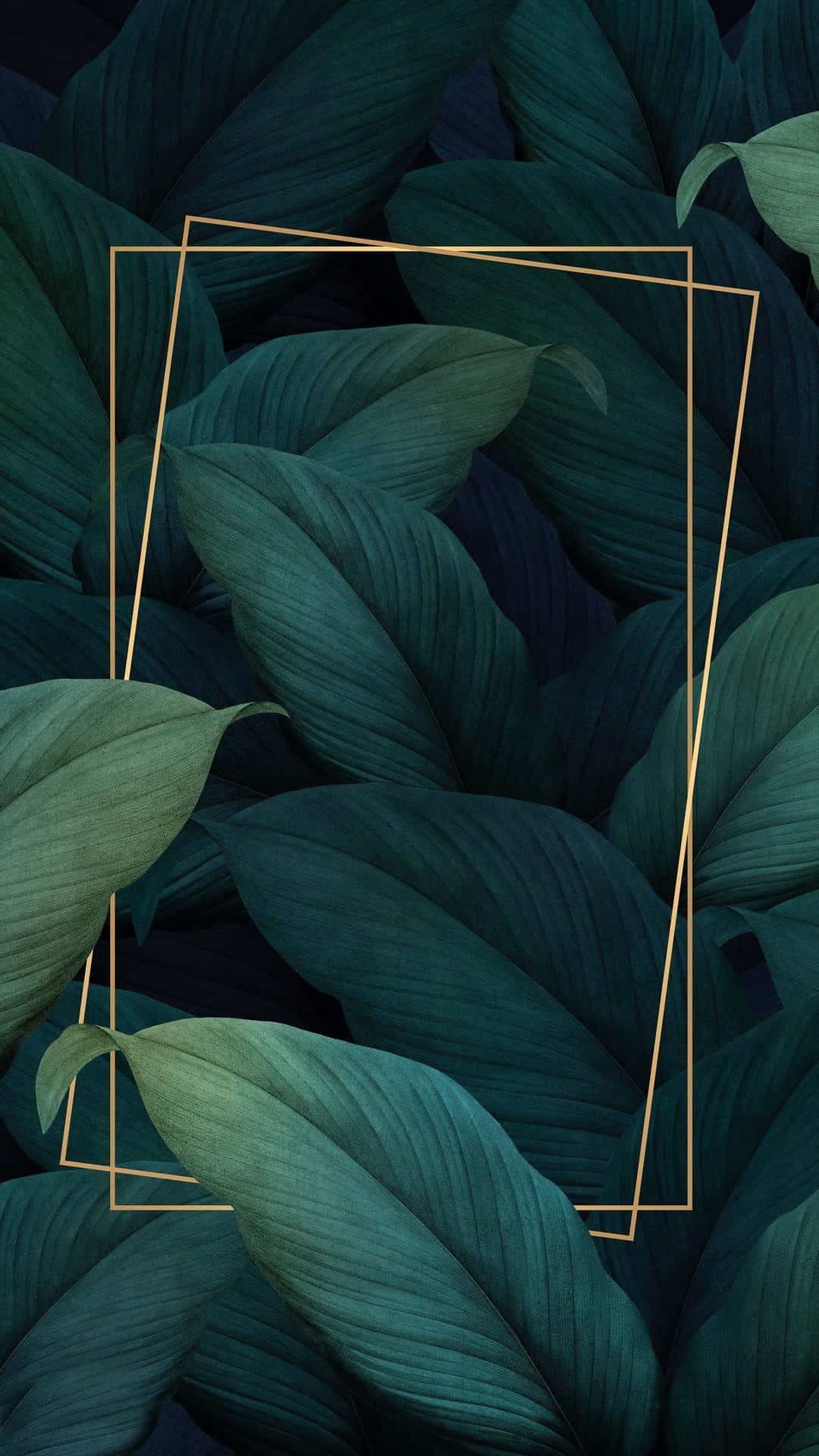 Plant Aesthetic Wallpaper