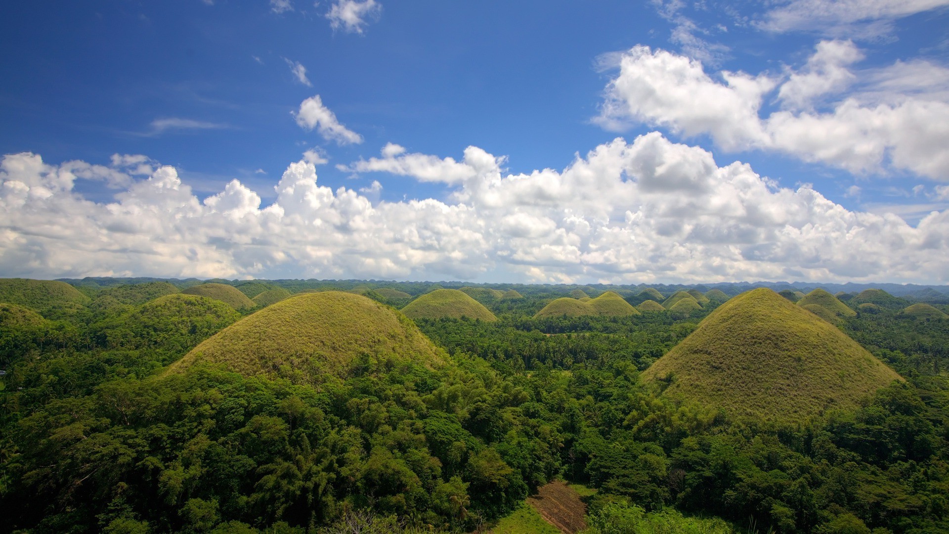 Nature Landscape Forest Mountain Hill Trees Philippines Wallpaper