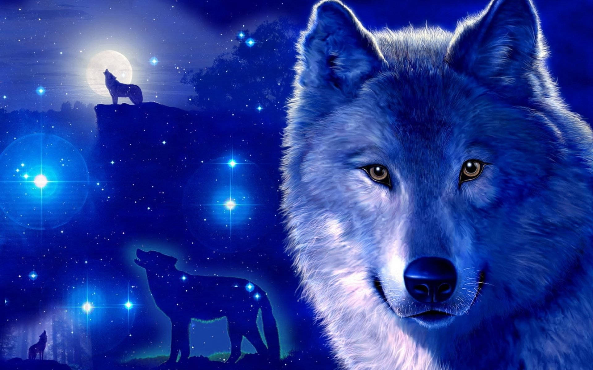 Blue Wolf Wallpaper