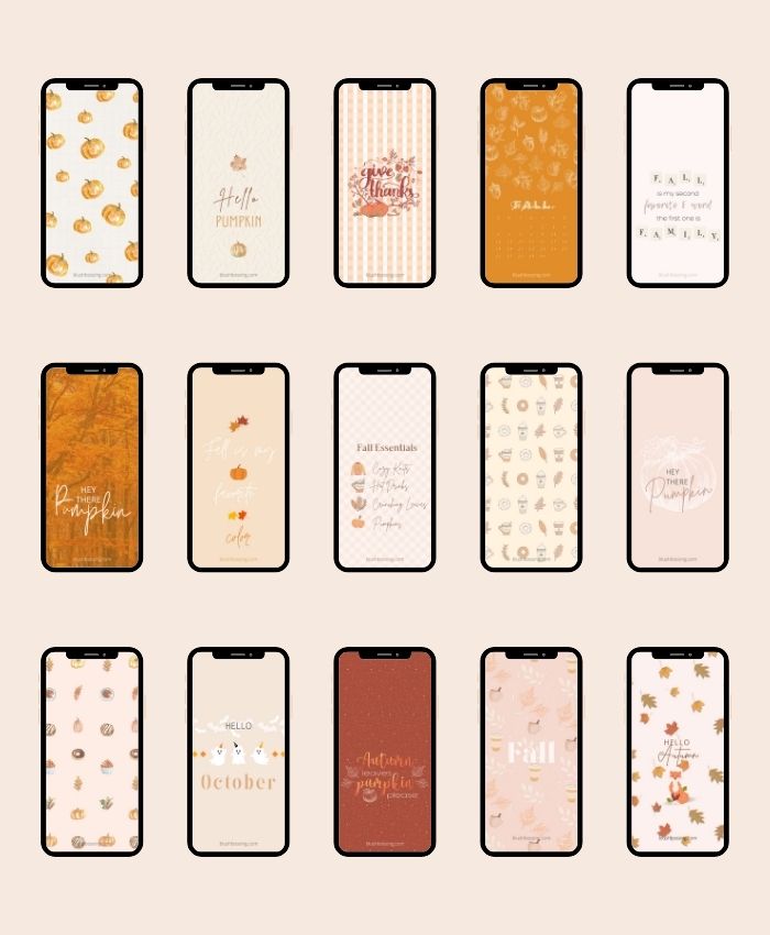 15 Cute Fall Wallpaper iPhone Backgrounds to have this Autumn