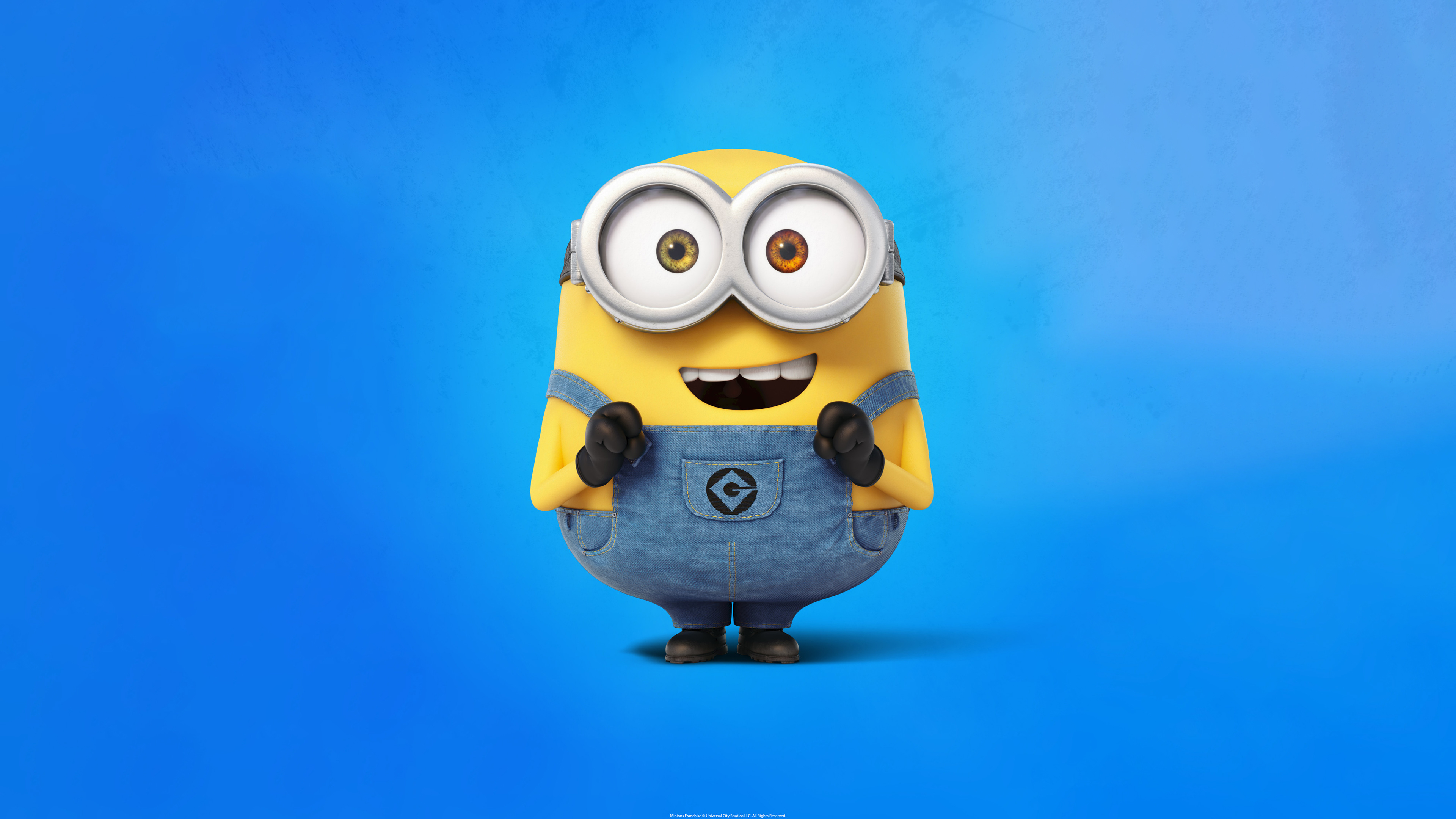 Minion Image Wallpaper HD 4k