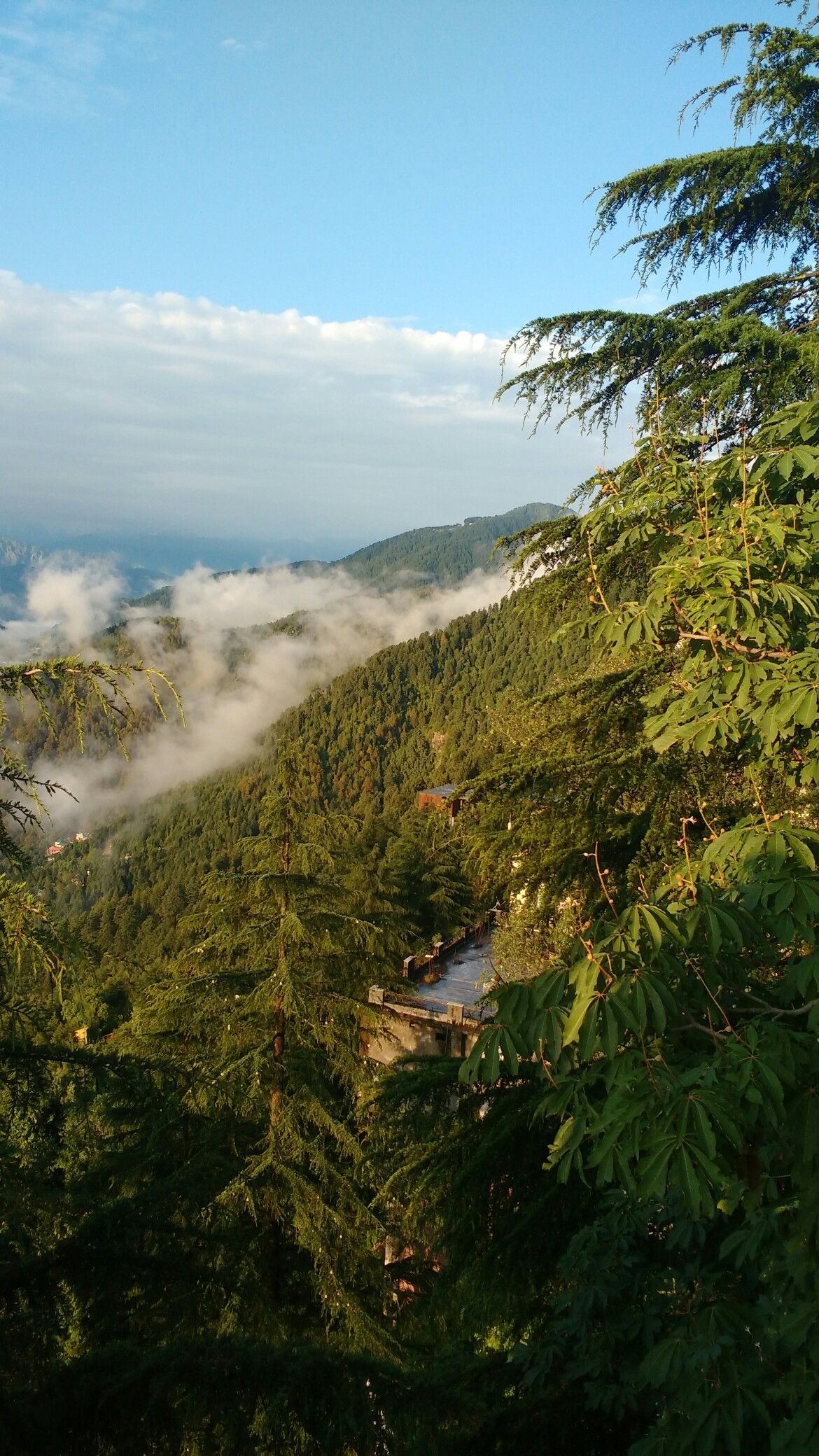 Dalhousie Himachal Pradesh Beauty At Its Best Nature