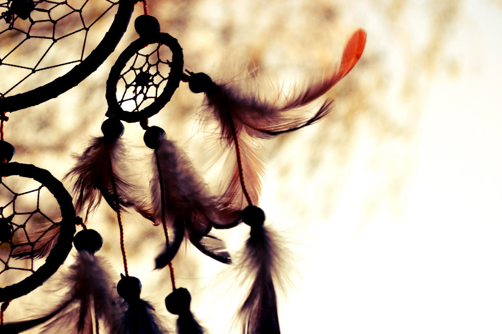 Dream Catcher by fucute on