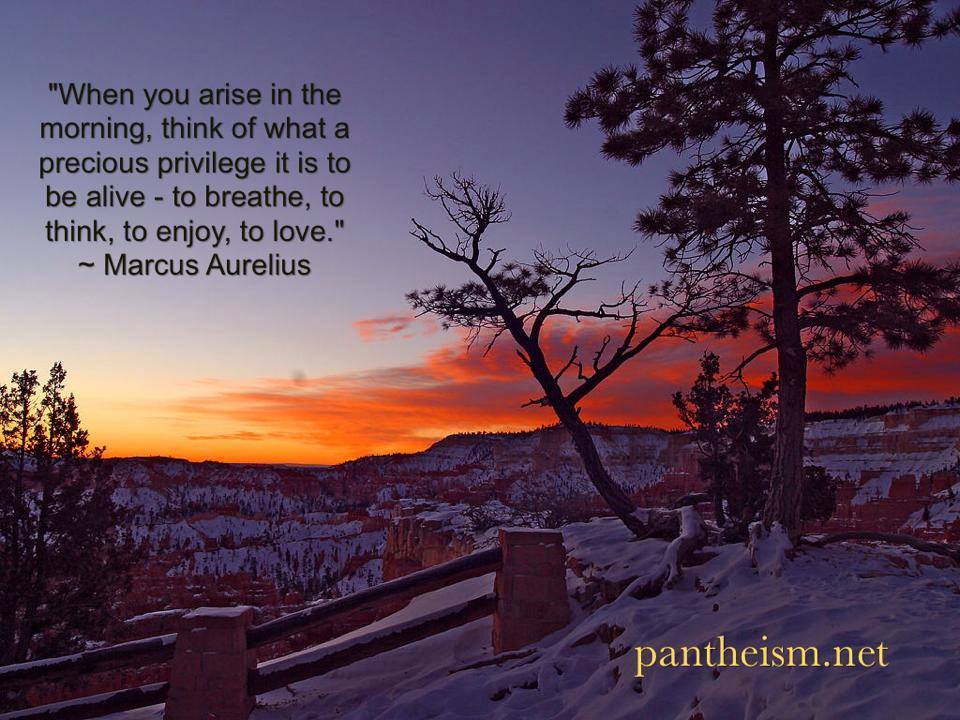 Pantheism When You Arise In The Morning Think Of What