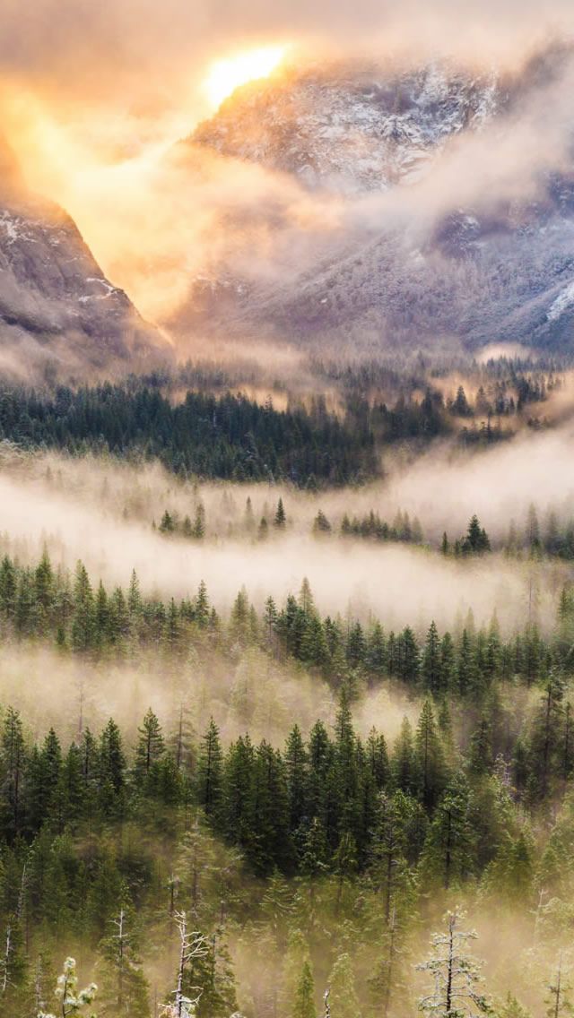 Mist Forest Mountain iPhone 5s Wallpaper Foggy Nature