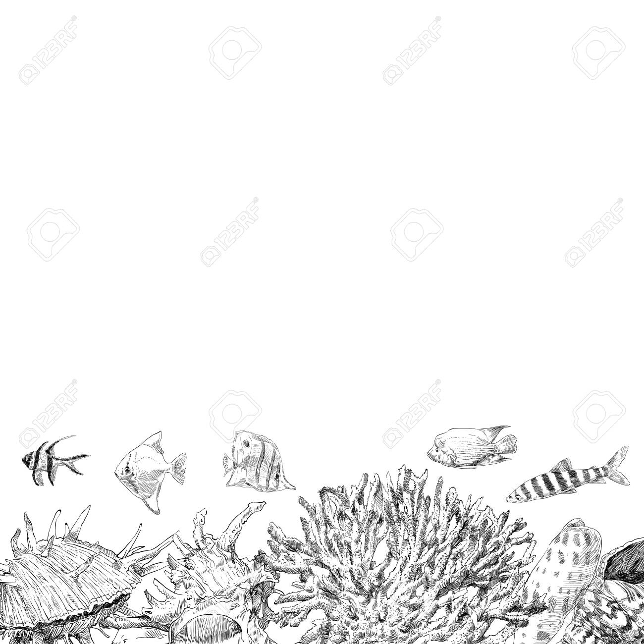 Seabed Inhabitants Fish And Corals Sea Ocean Sketch