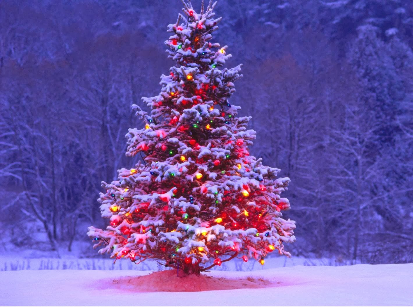 Best Beautiful Festival Christmas Tree Wallpaper HD
