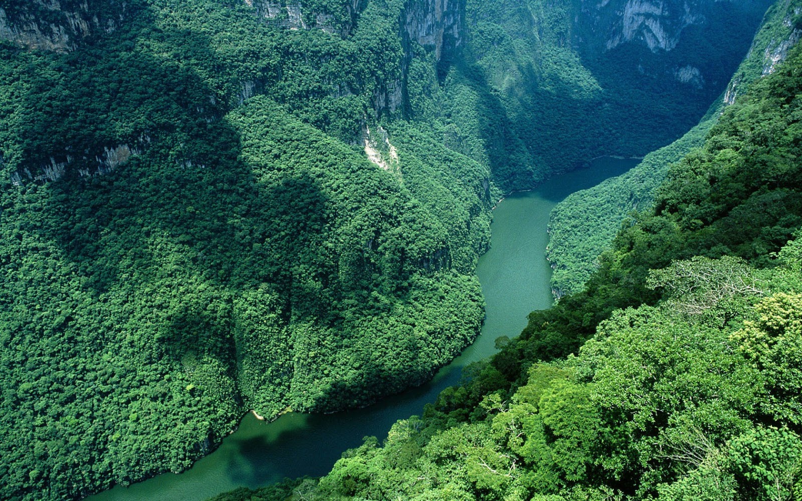 Longest Rivers In The World Wallpaper Dawallpaperz