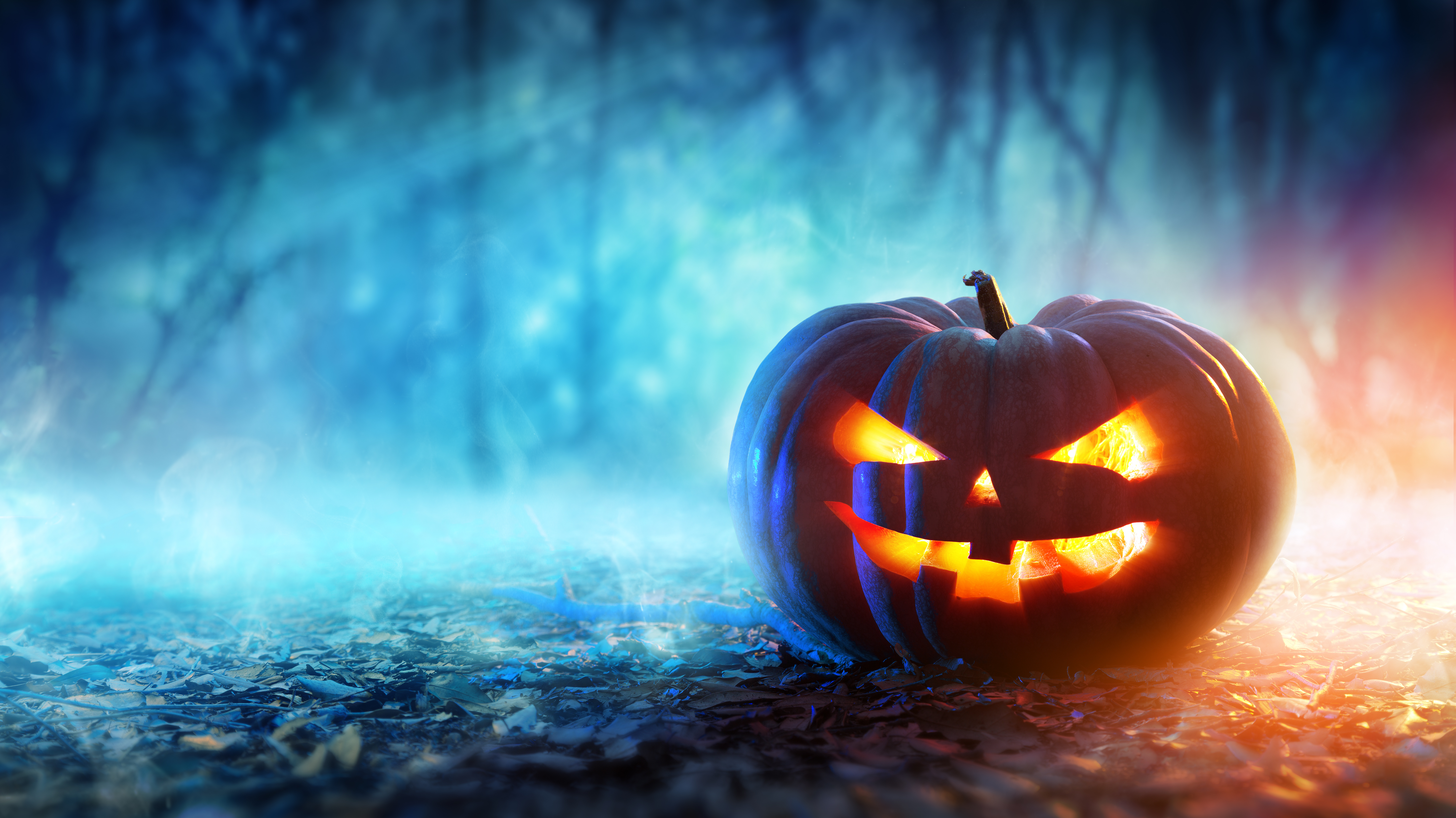 Halloween 4k Ultra HD Wallpaper Background Image