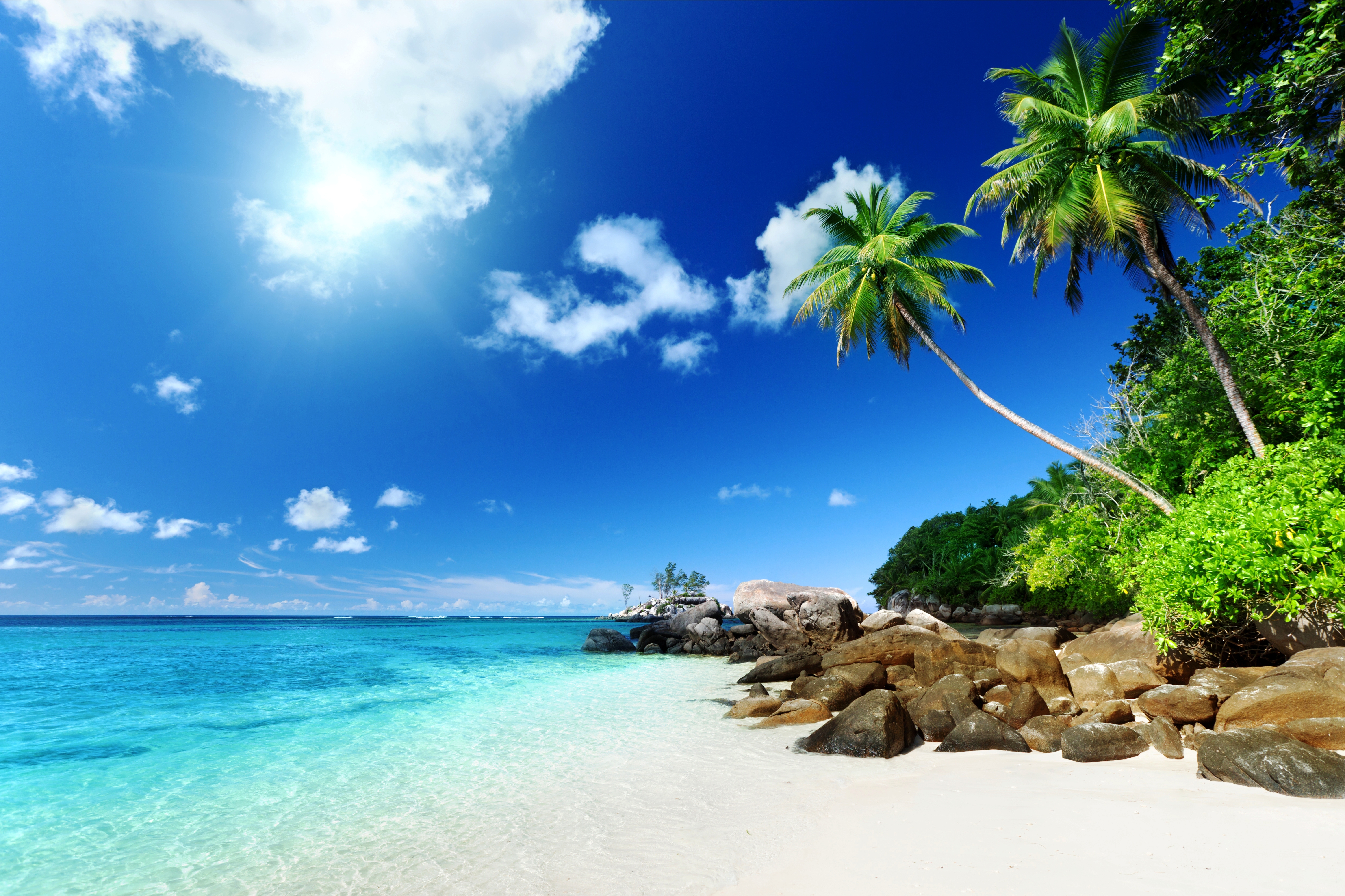 Wallpaper Tropical Paradise Beach Coast Sea Ocean Palm Summer