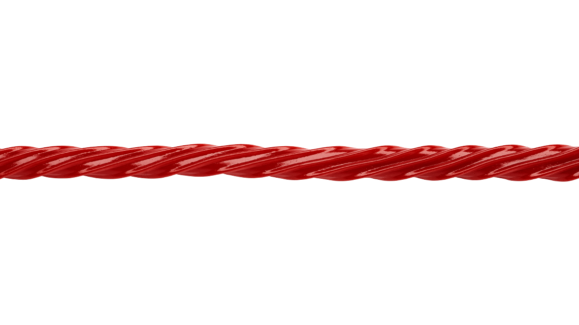 Twizzlers About The Brand