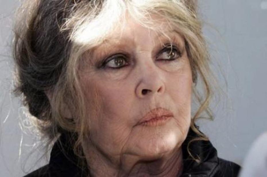 Brigitte Bardot Appelle Les Maires Parrainer Marine Le Pen Melty