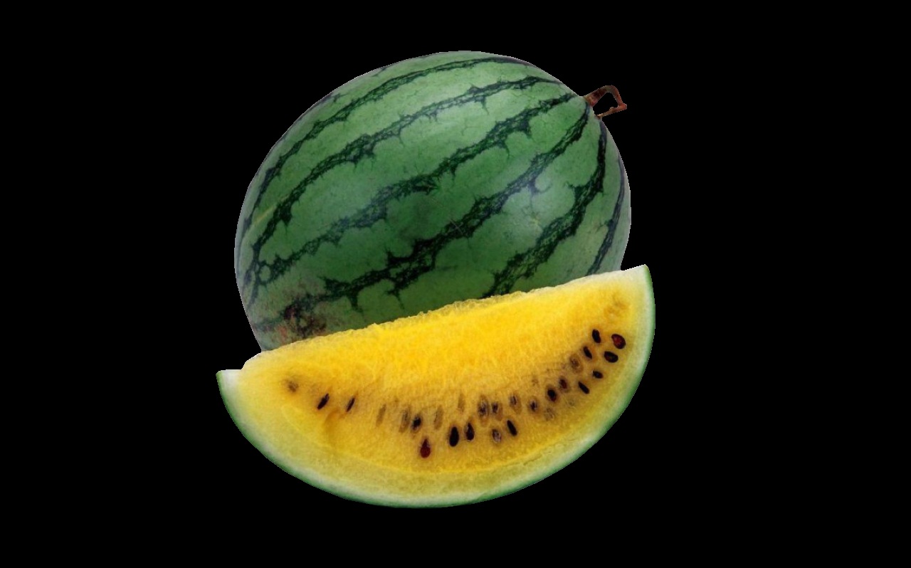 Cloning Melons The Pros And Cons Wallpaper