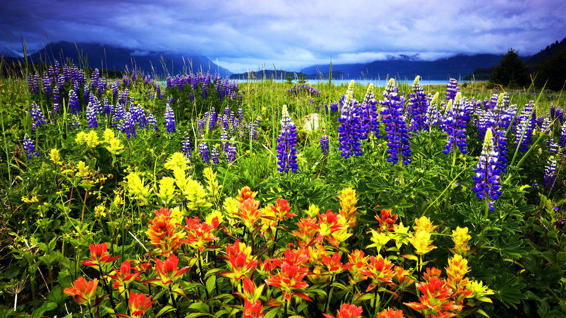 Glacier Bay National Park Alaska High Quality And