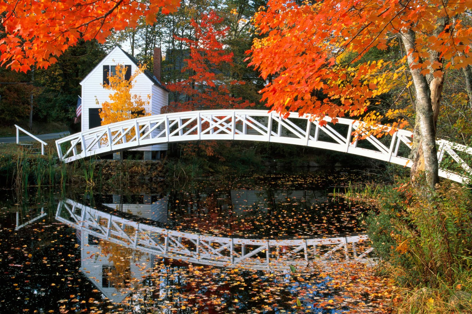 Autumn Ladscape Desktop Picture HD Wallpaper