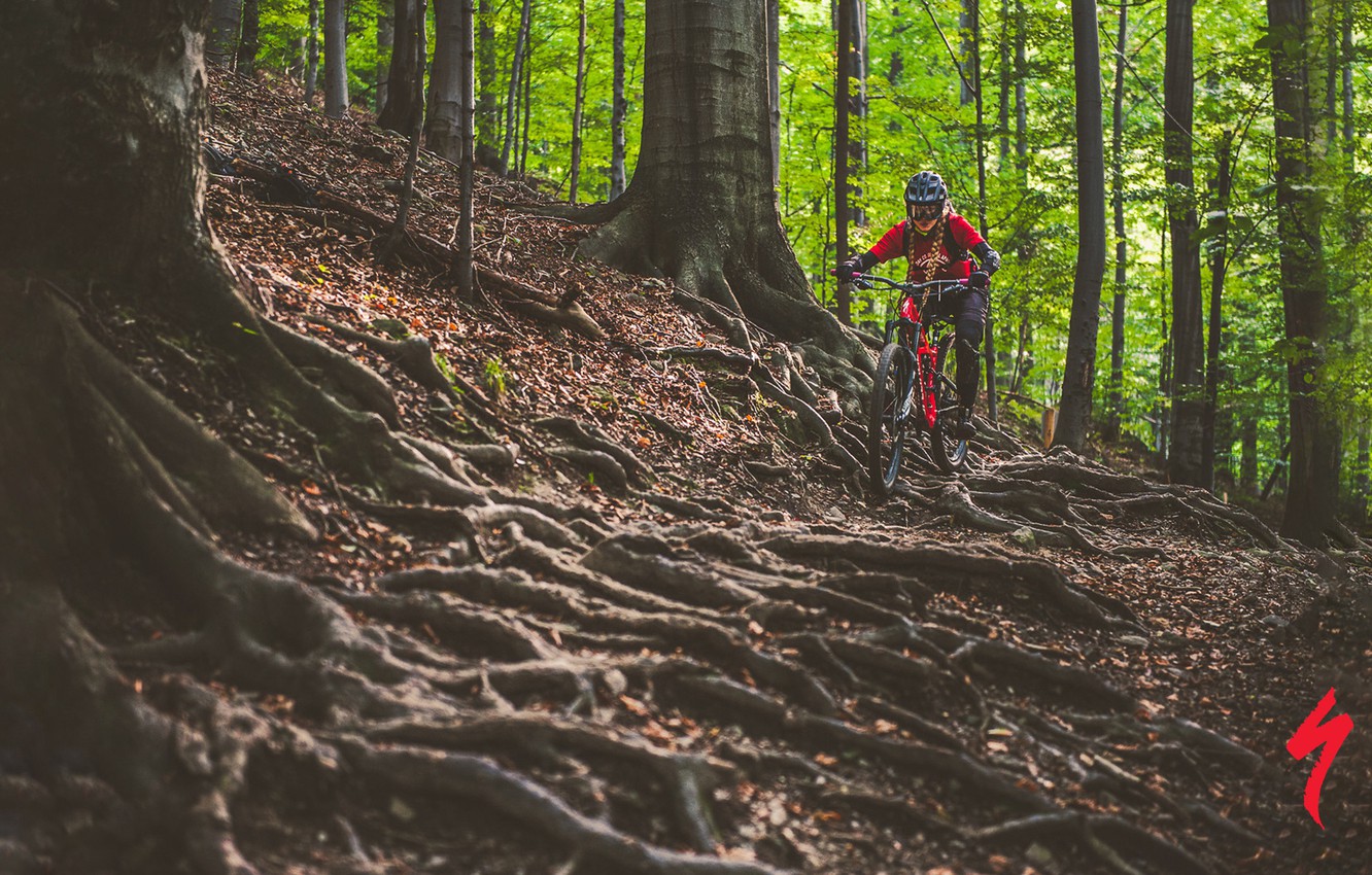 Wallpaper Forest Girl Nature Bike Roots Sport Track Helmet