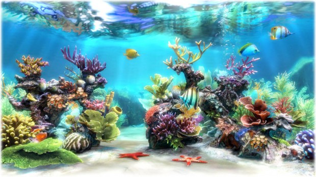 Simaquarium 3d Live Fish Wallpaper Tank Background