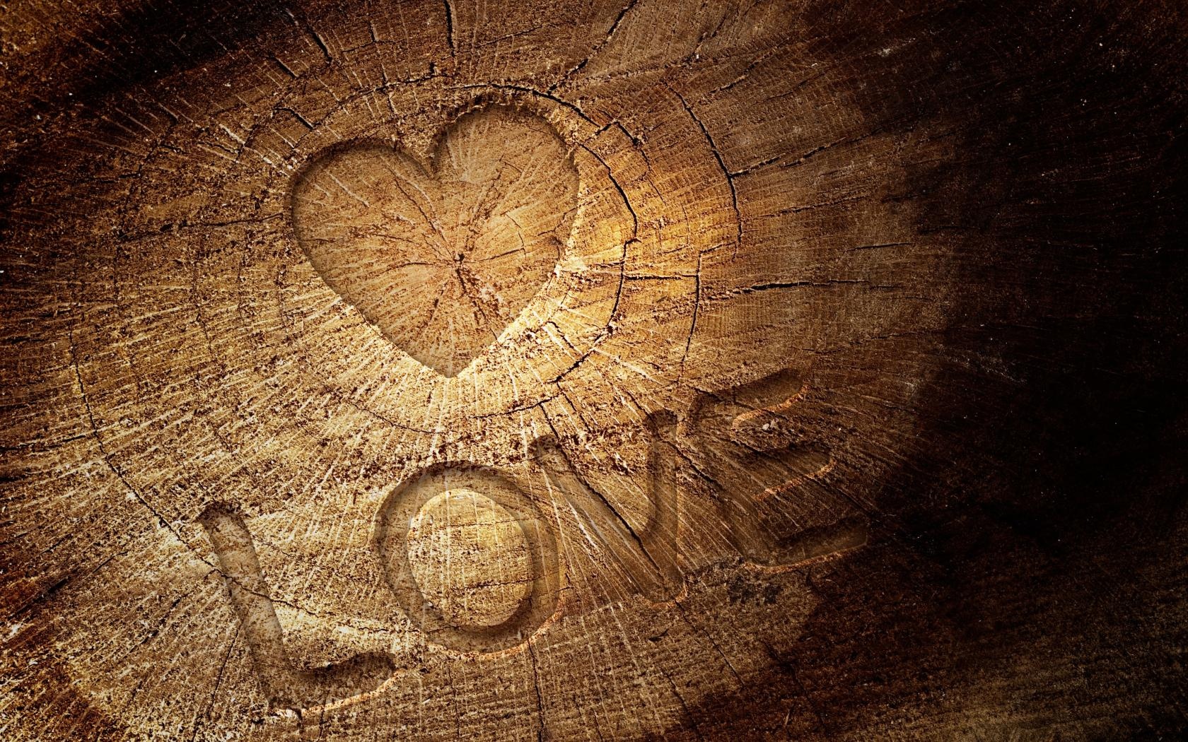 Love Written In Tree Trunk Wallpaper
