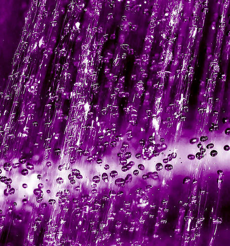 [Download 40+] Download Wallpaper Purple Rain Images Pics PNG