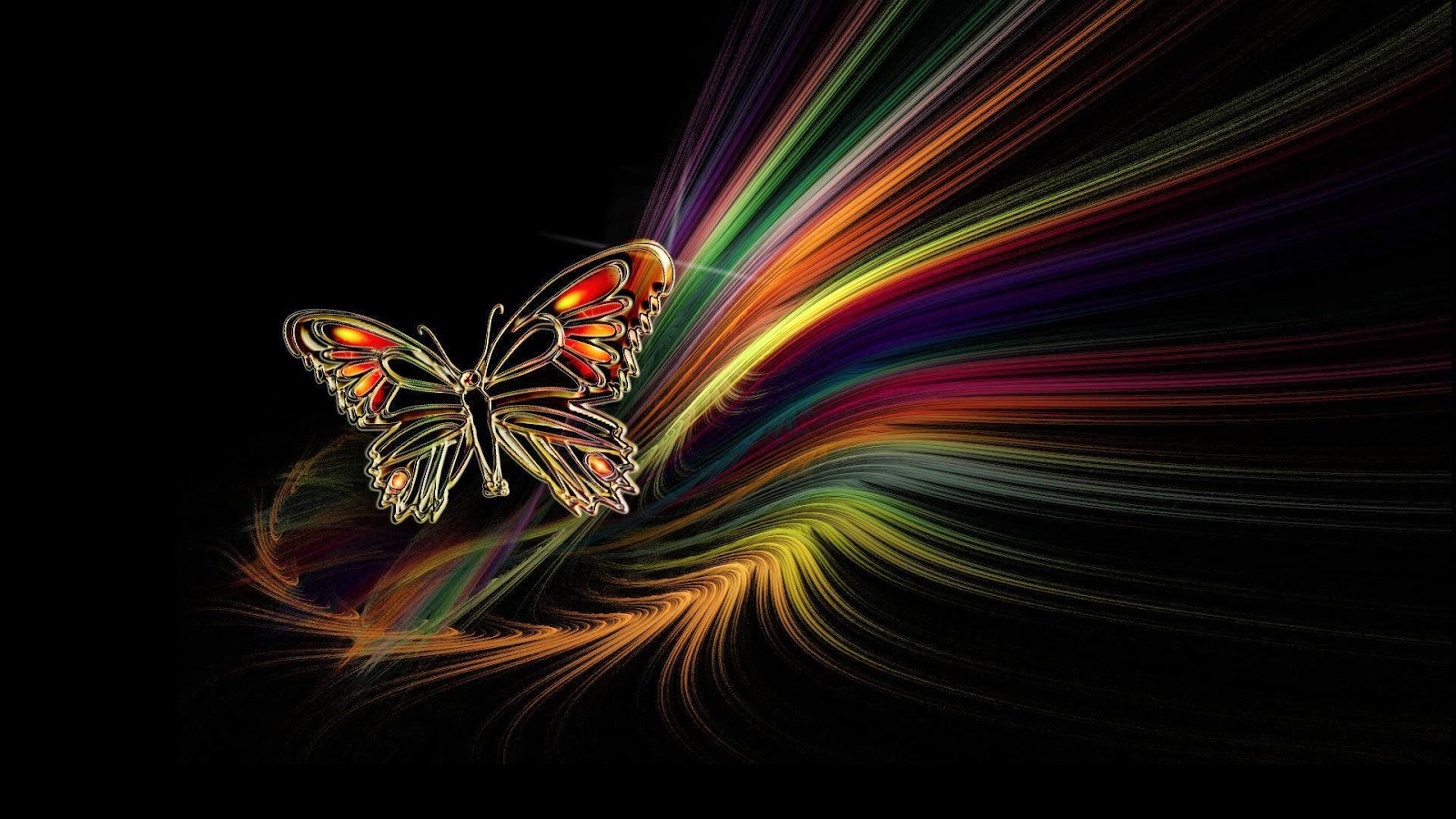 Colorful Butterfly HD Wallpaper Real Artistic