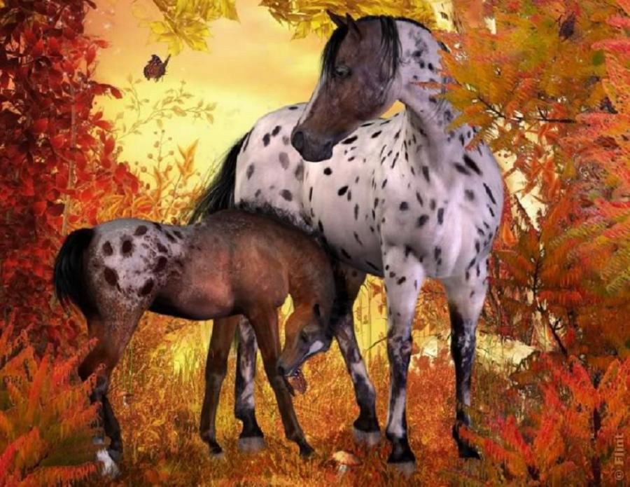 Autumn Horses Pixdaus