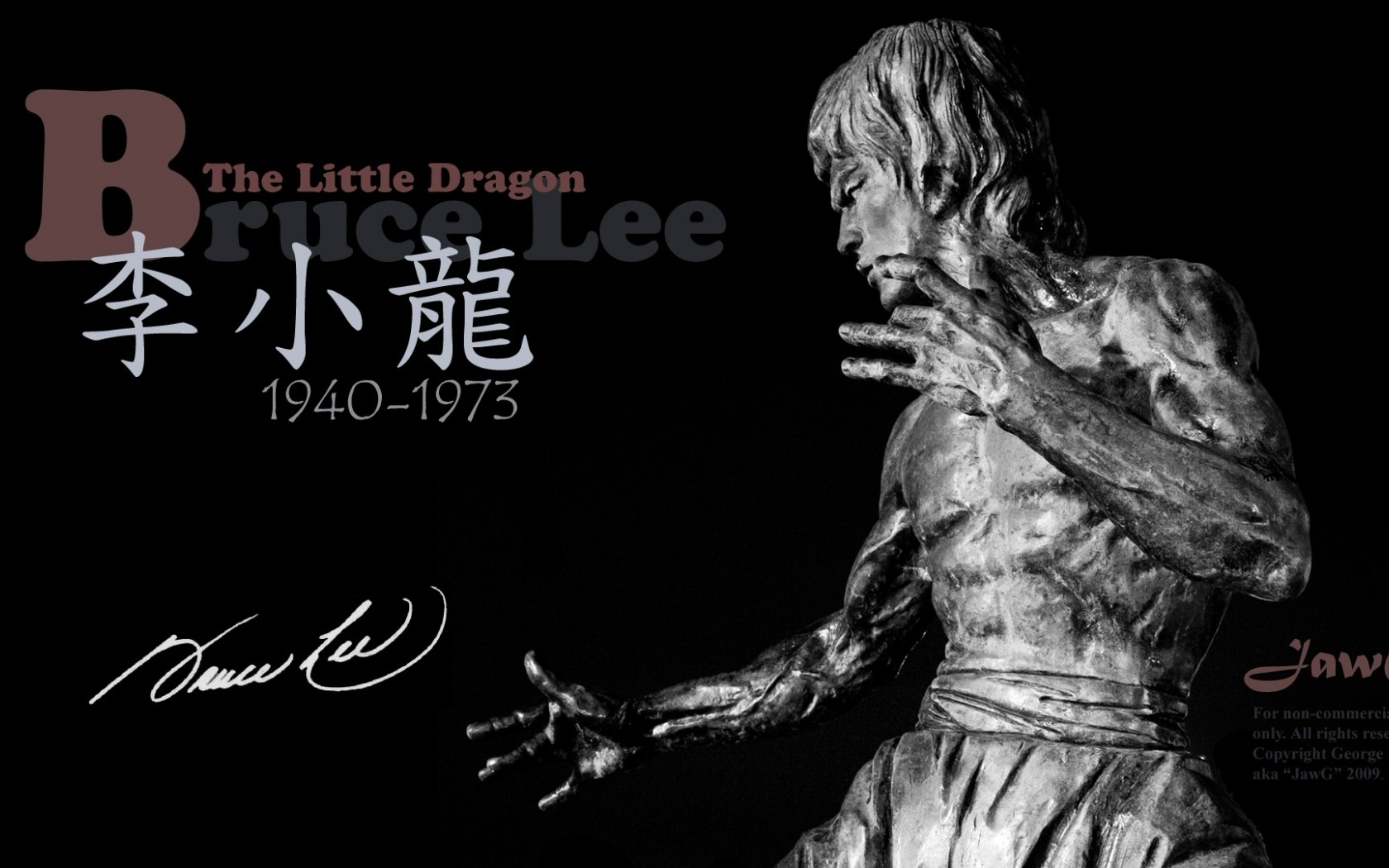 Bruce Lee Wallpapers and HD Desktop Backgrounds 1920x1200 1680x1050