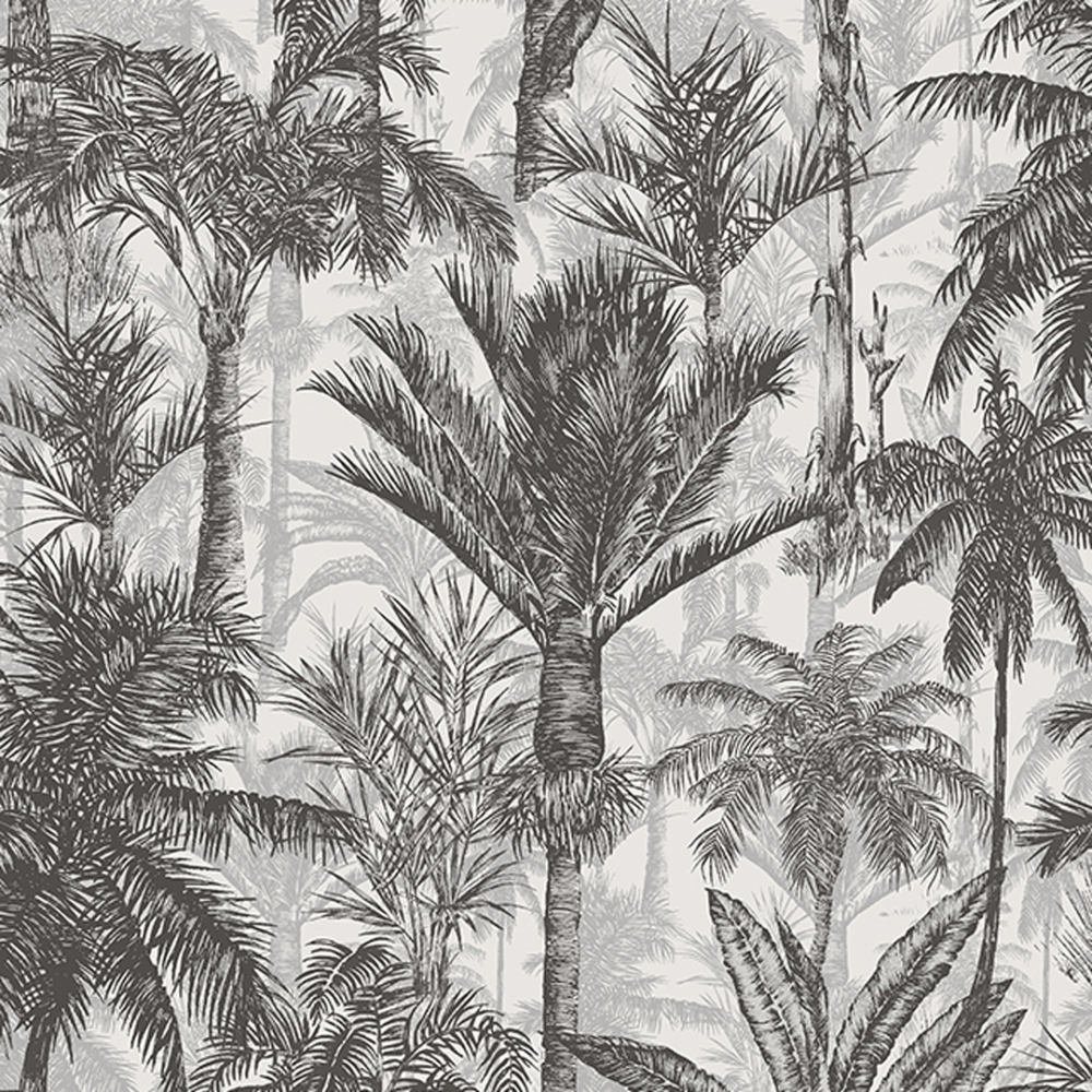 Palmetto Tropical Wallpaper In Black White I Love