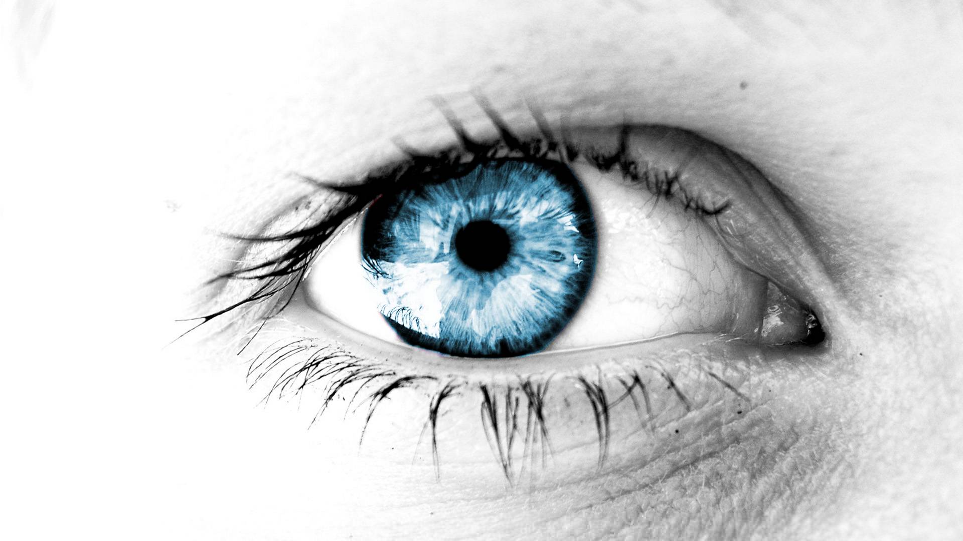 Gorgeous Blue Eyes Wallpaper