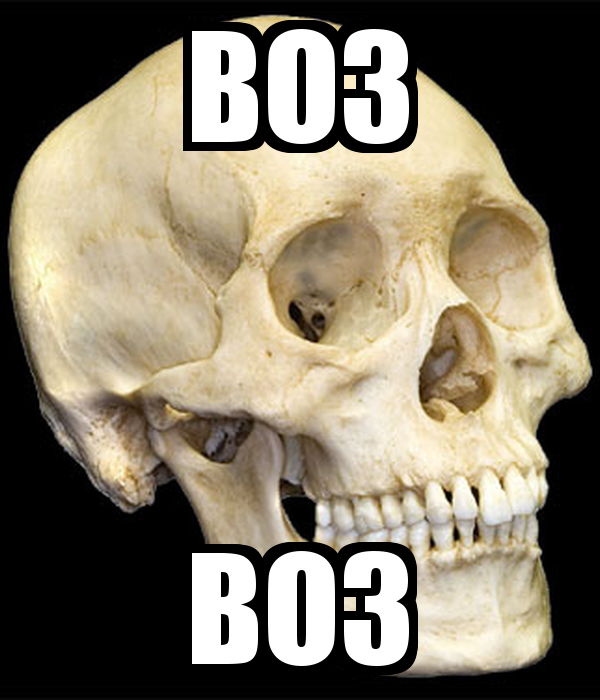 Bo3