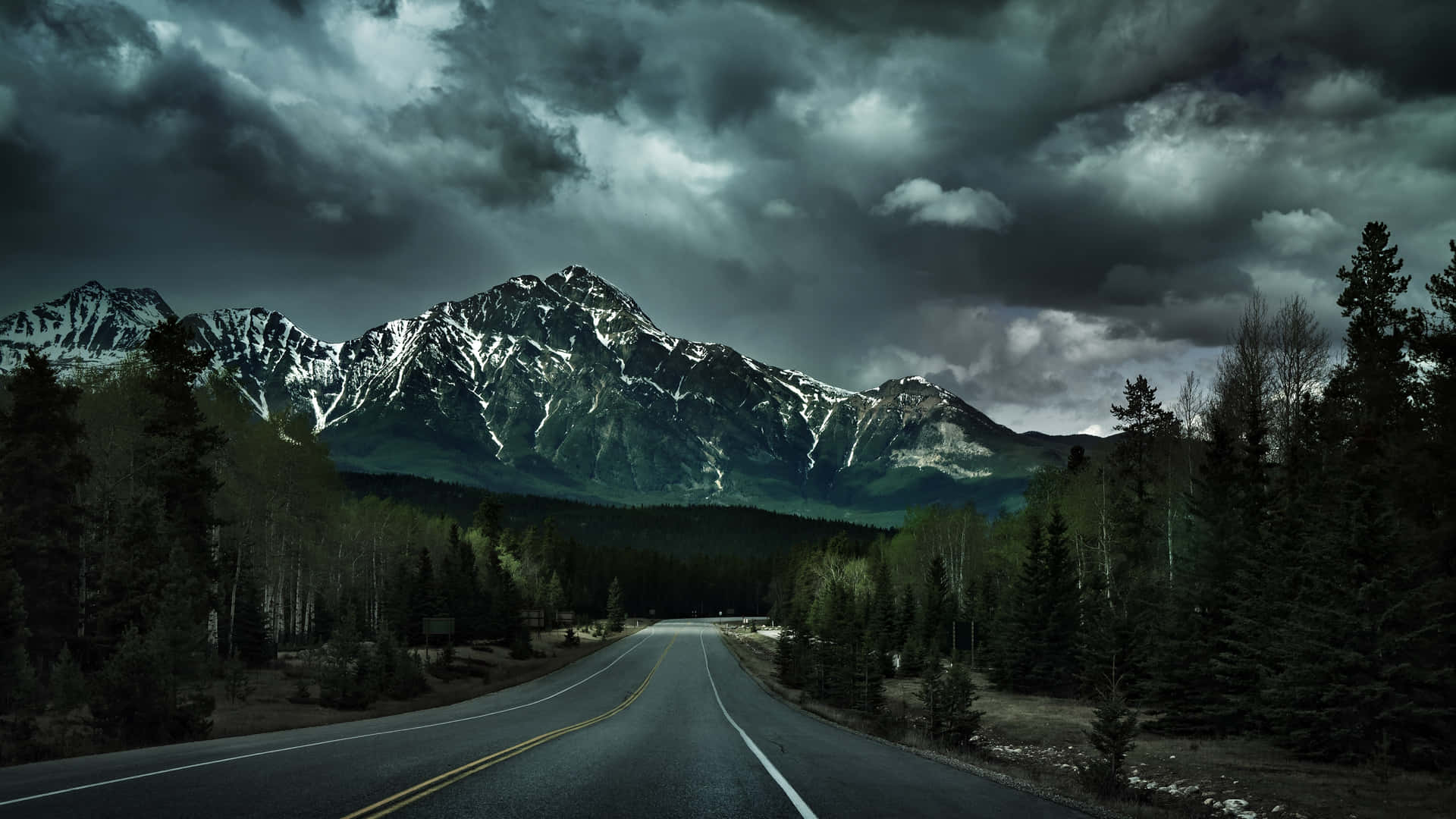 Dark Nature Wallpaper