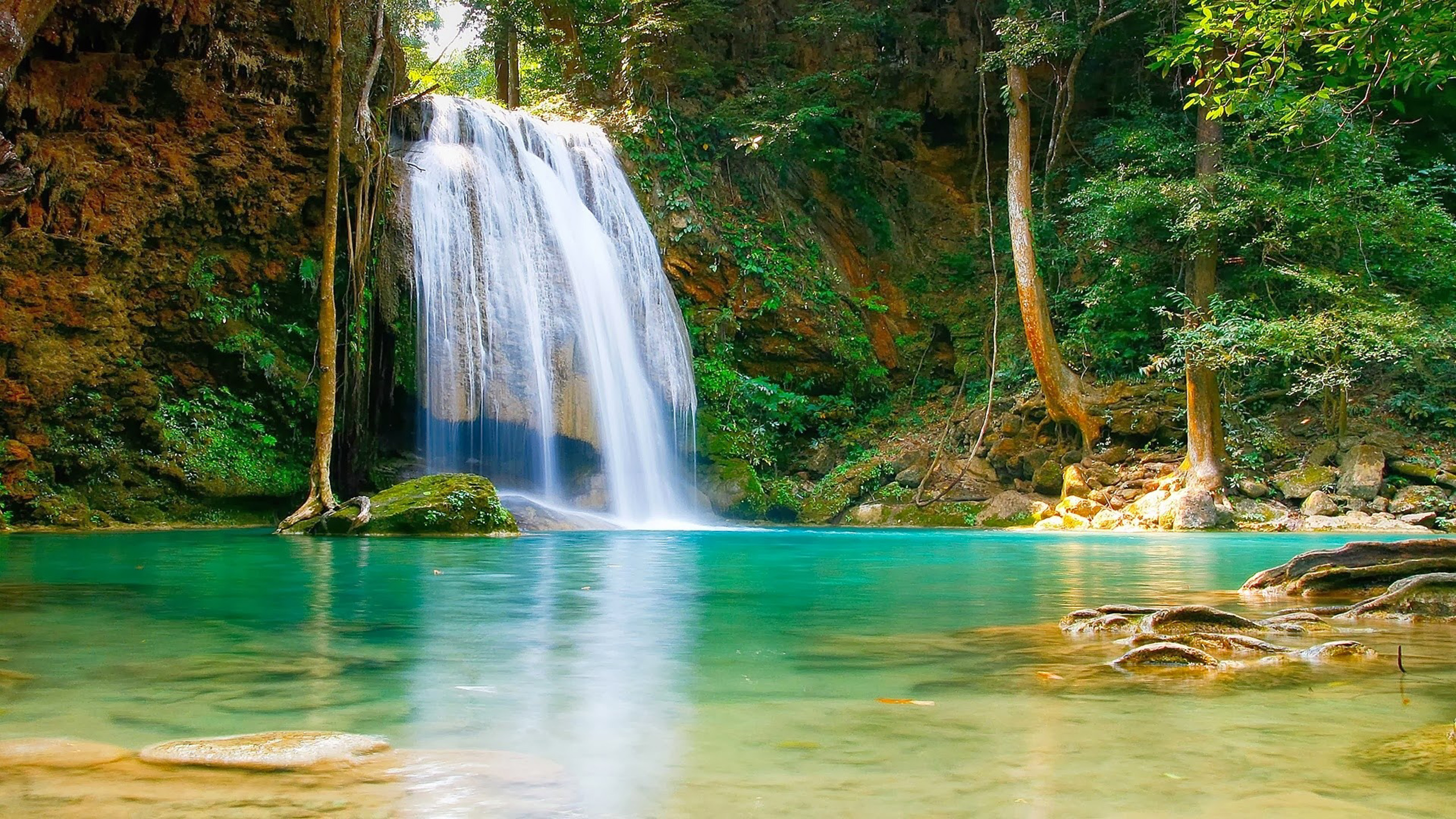 Nature Falls Pool With Turquoise Green Water Rock Coast Trees HD