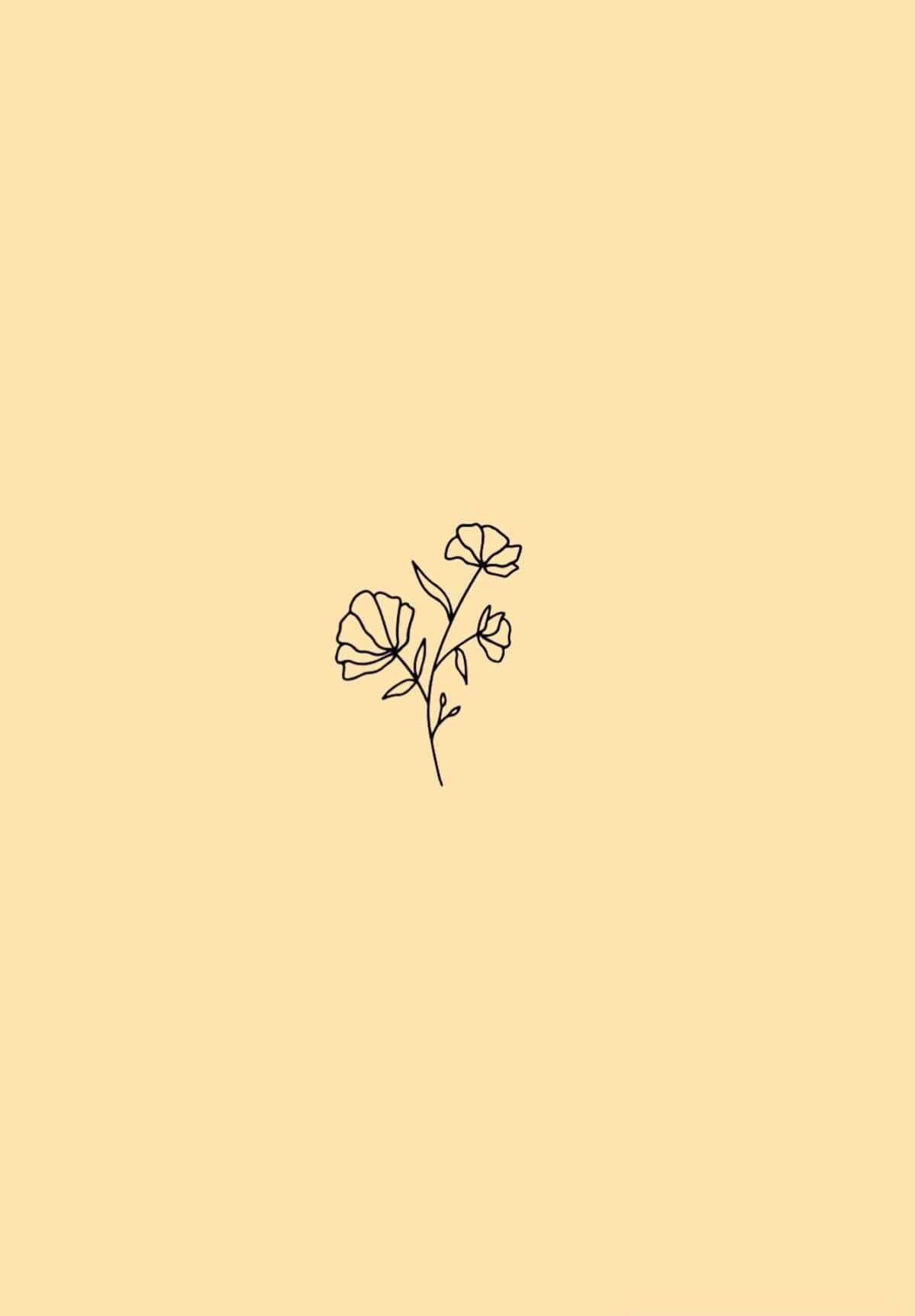 Minimalist Flower Aesthetic Wallpaper
