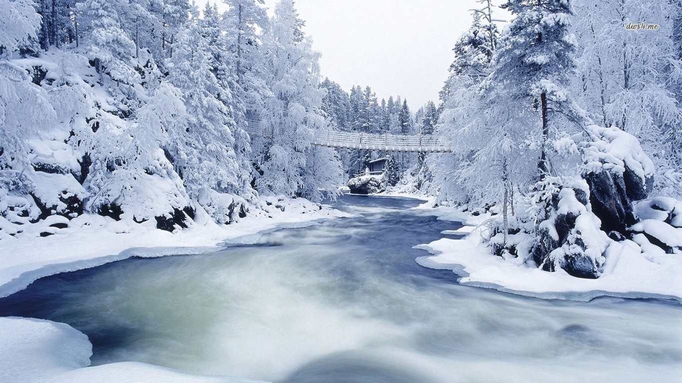 Snowy Forest River Wallpaper Nature