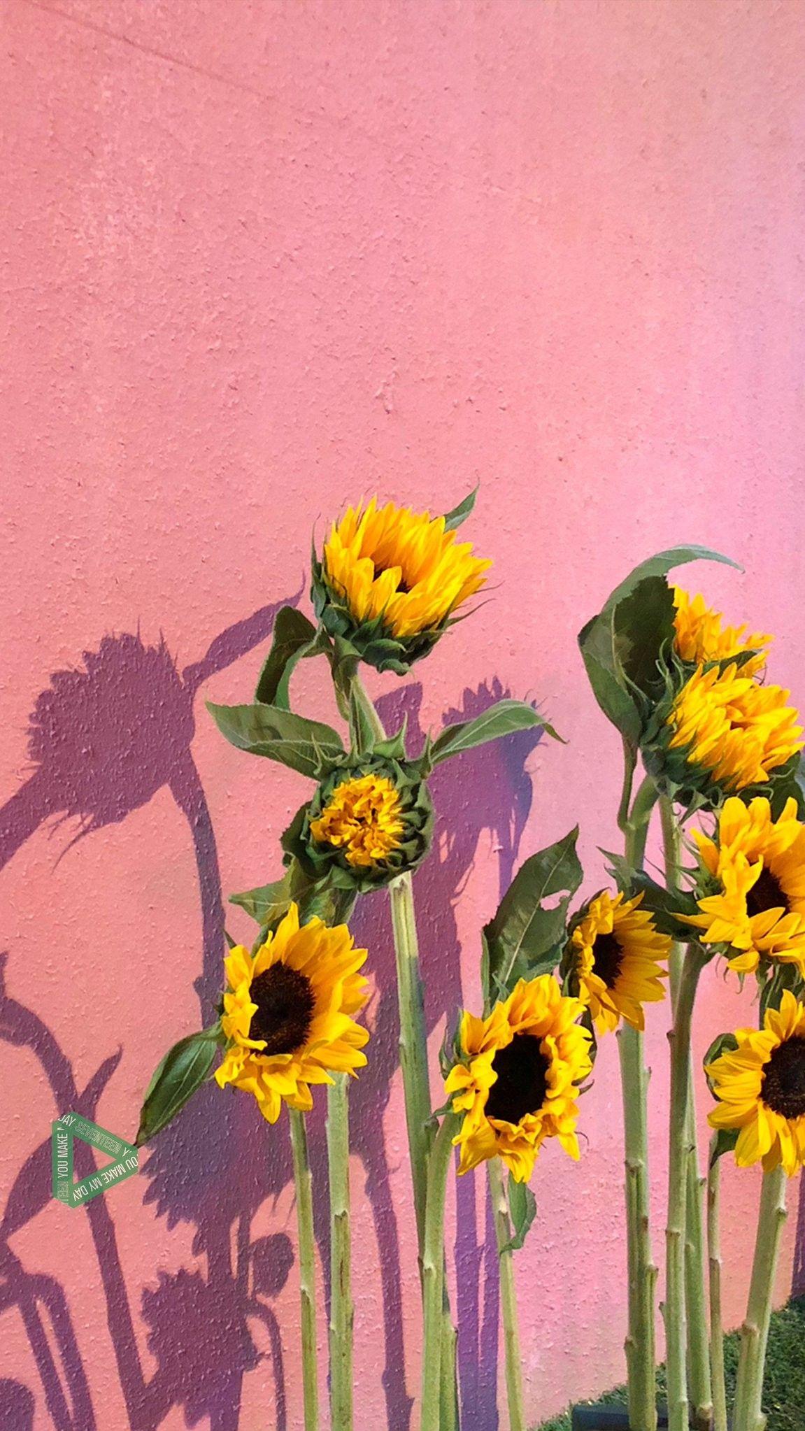 You Make My Day Sunflower Wallpaper Art iPhone
