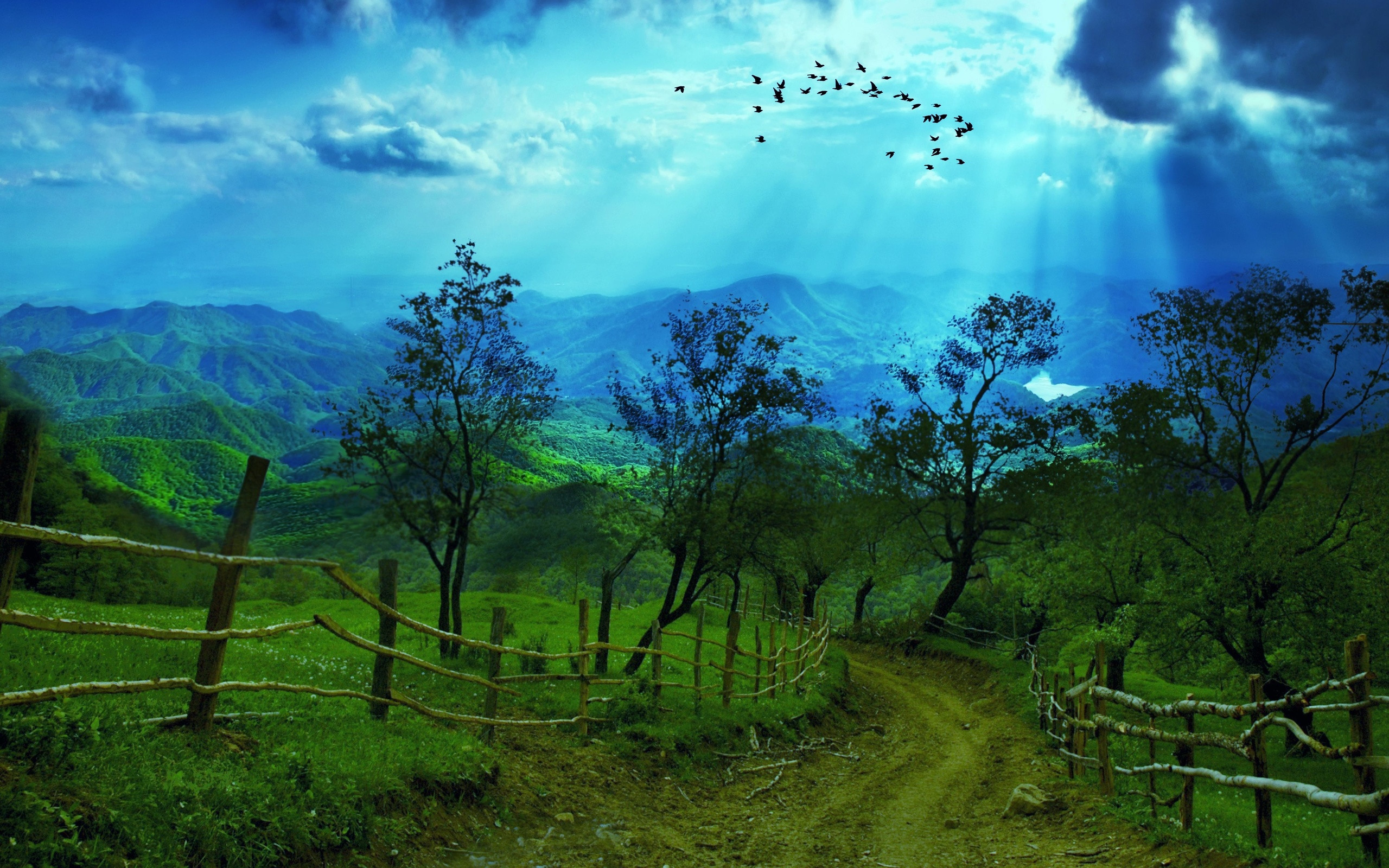 8k Ultra HD Nature Wallpaper