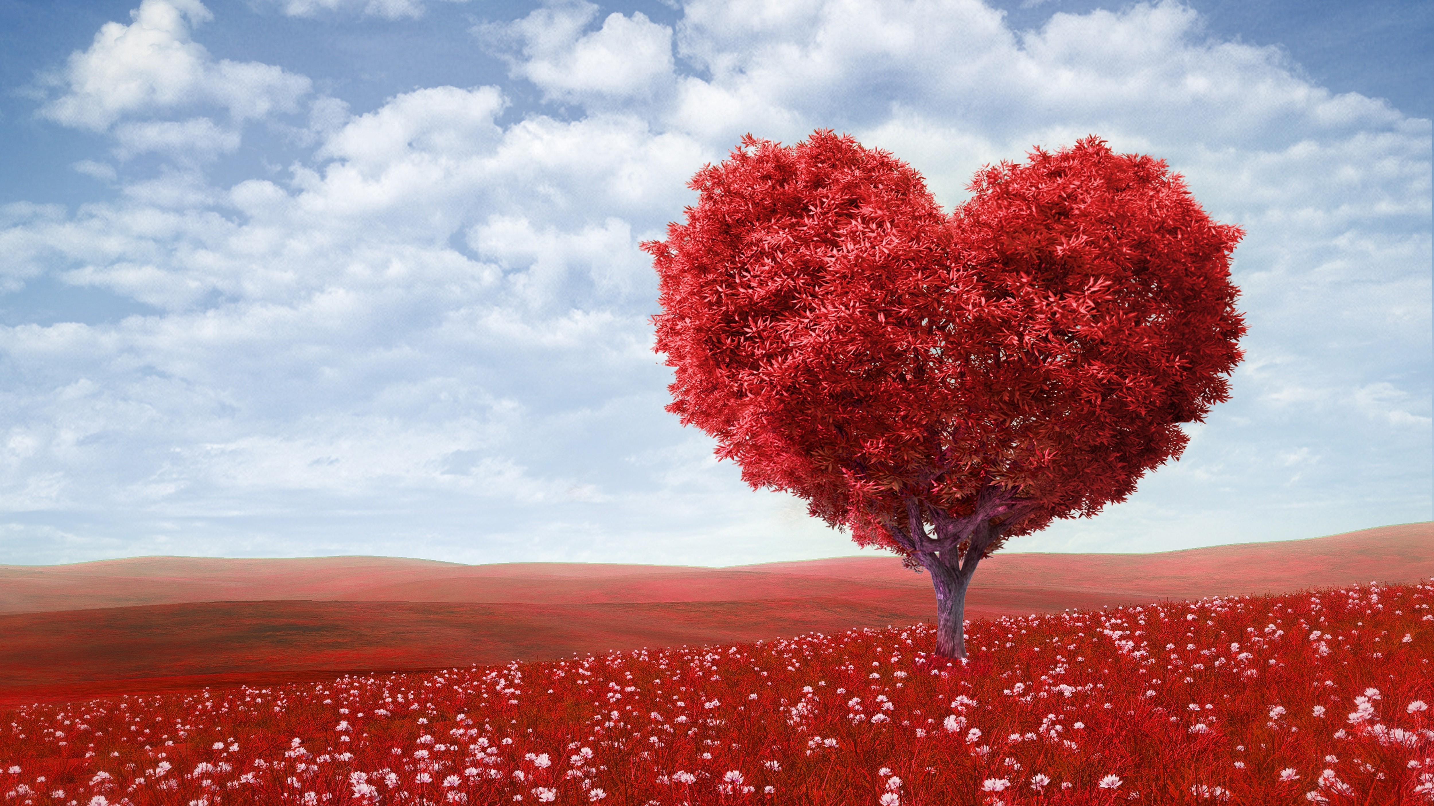 Day Love Heart Tree Red Field Flowers HD Wallpaper New