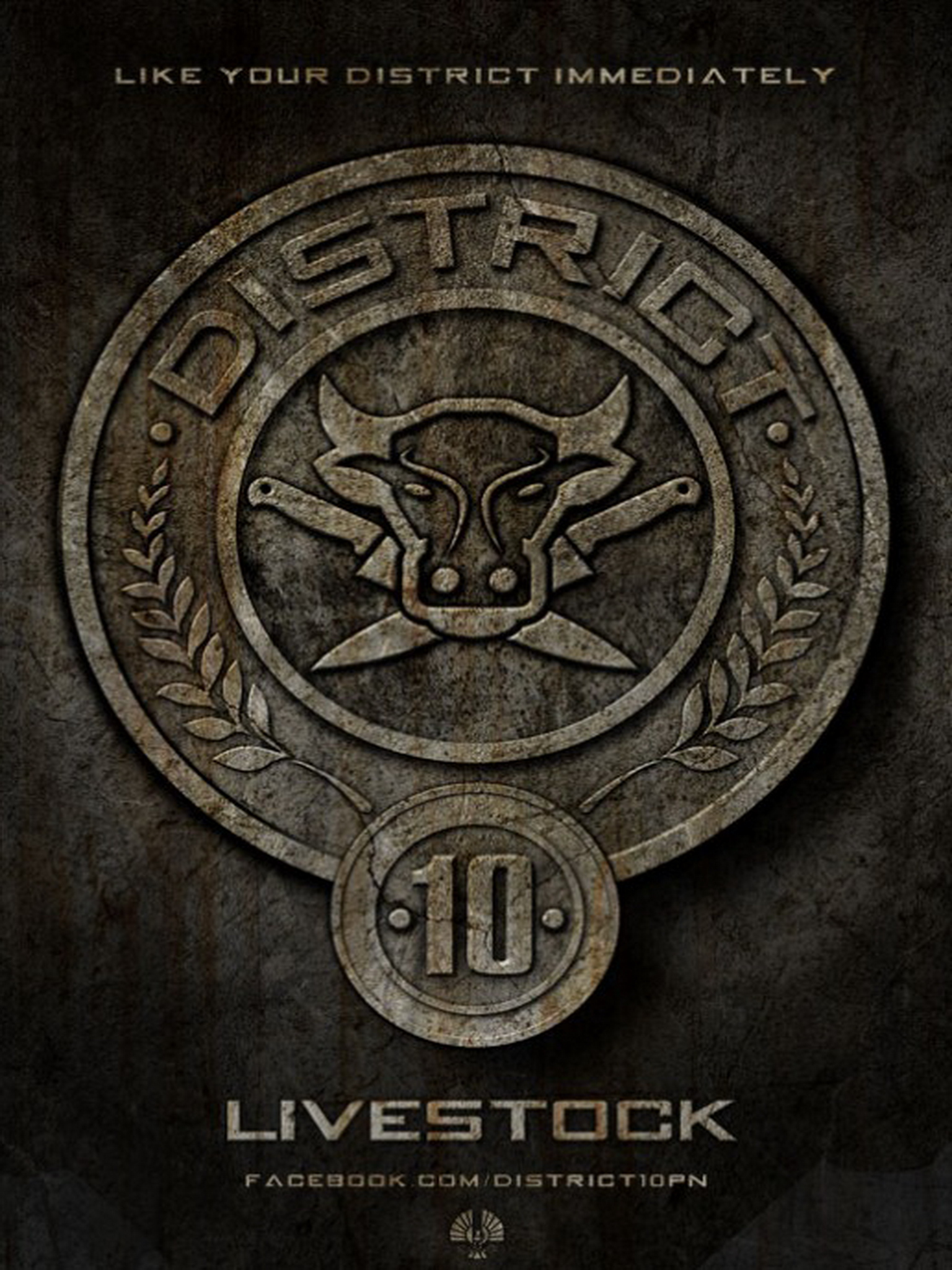 The Hunger Games iPad Wallpaper Jpg