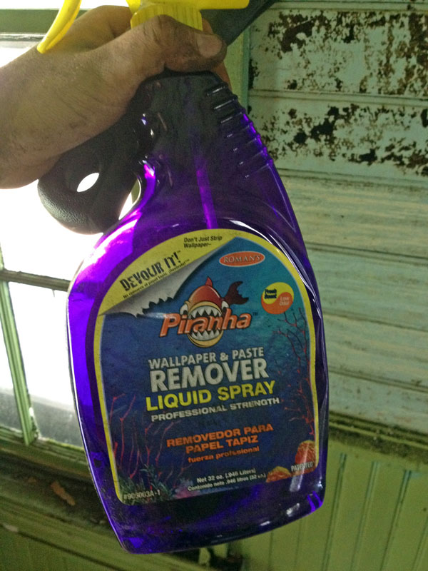 Free download younganddomestic to the Young and Domestic Watch