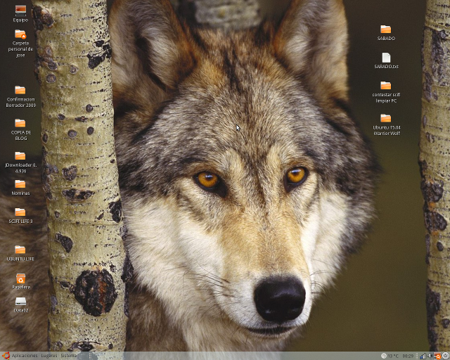 Ubuntu Warrior Wolf Wallpaper Life