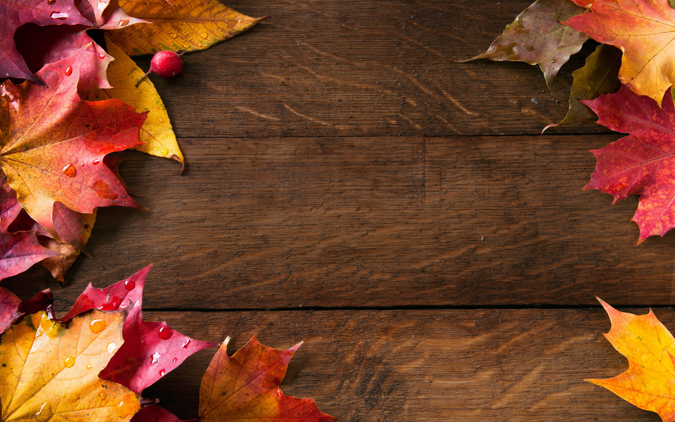 Autumn Wallpaper Background Image