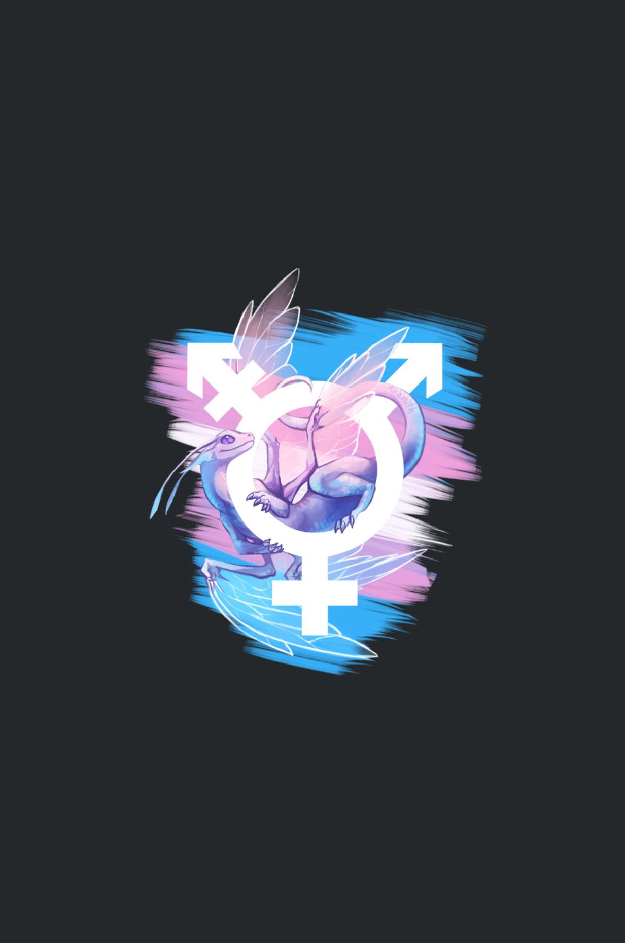 Transgender iPhone Wallpaper
