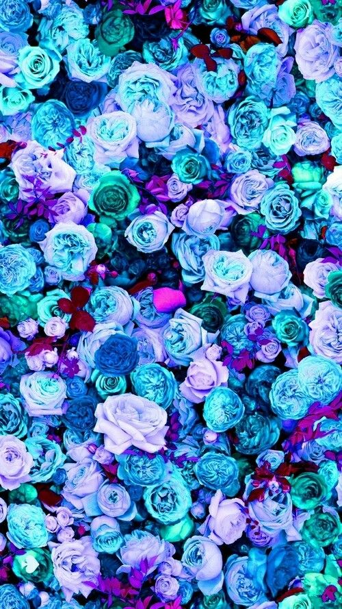 Mint Blue Lilac Teal Pink Peonies Roses Floral iPhone Phone Wallpaper