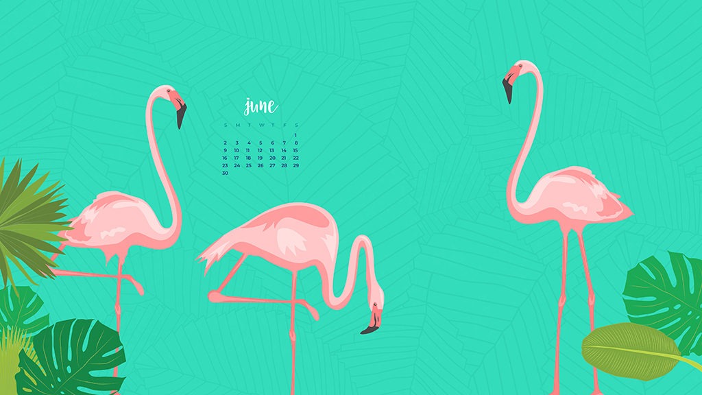 All Fun Summery And June Desktop Wallpaper
