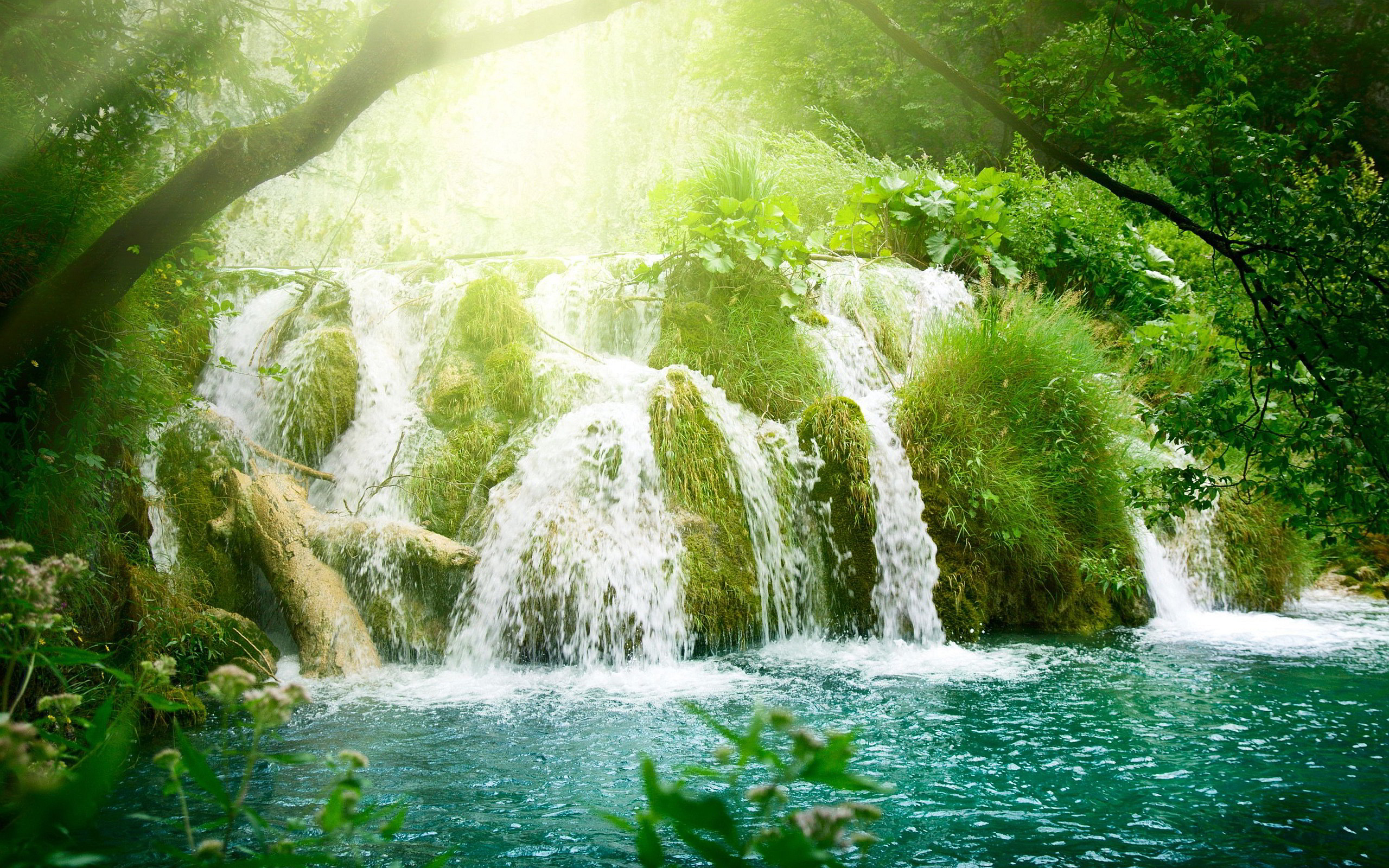 Free Rainforest Waterfall Wallpaper Picture at Landscape Monodomo
