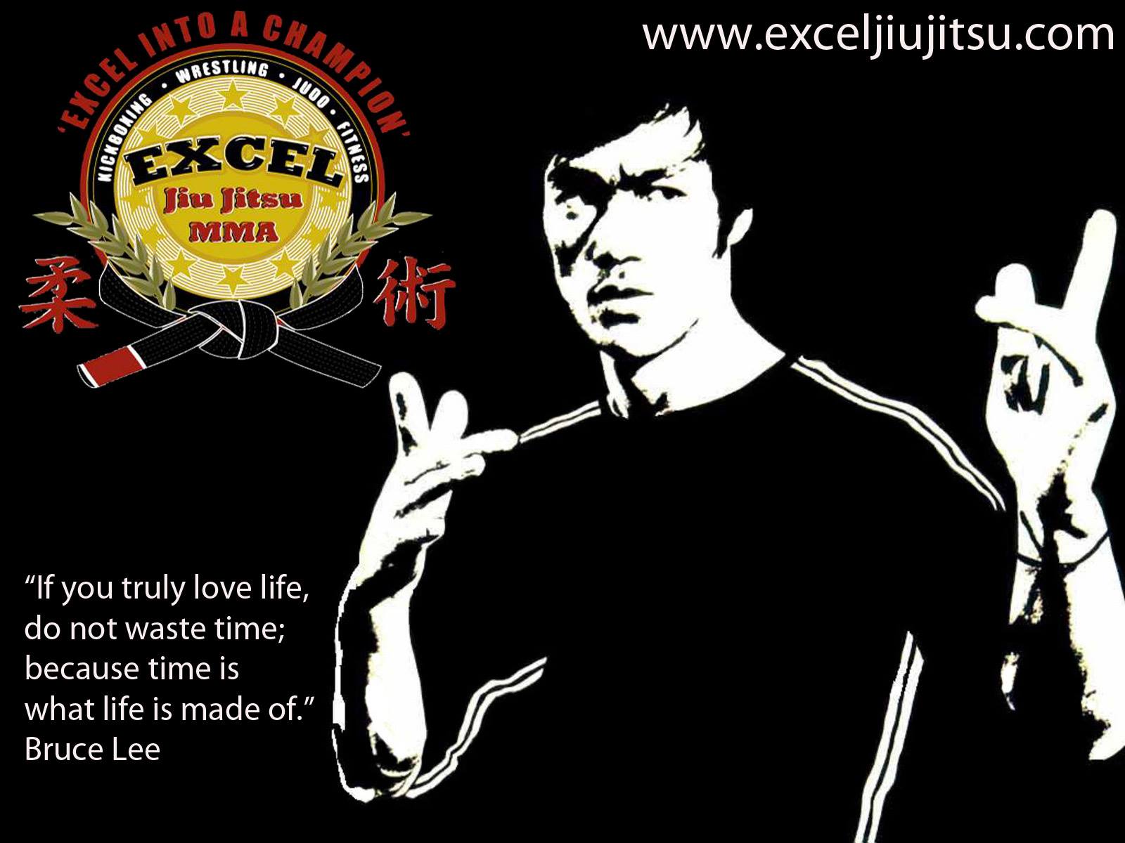 Gracie Jiu Jitsu Wallpaper Bruce lee excel jiu jitsu 1600x1200