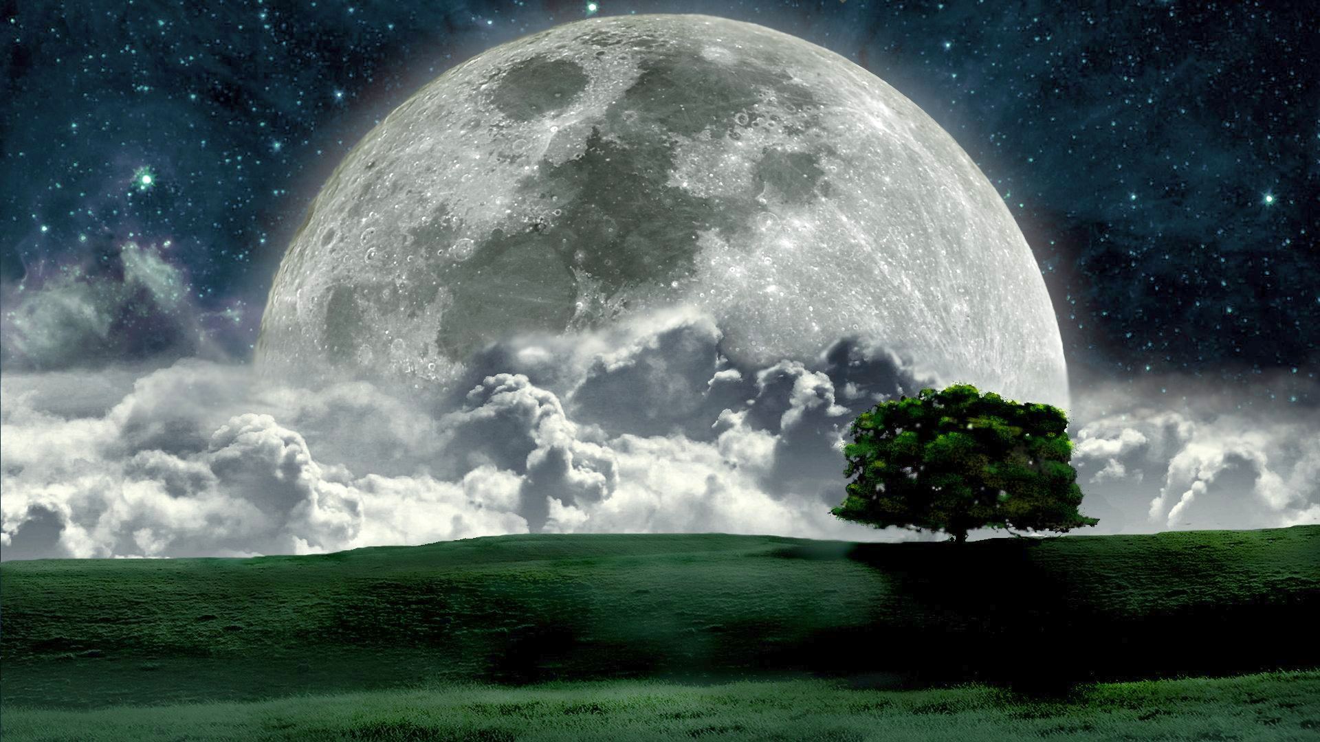 Big Full Moon In Night HD Wallpaper Nature