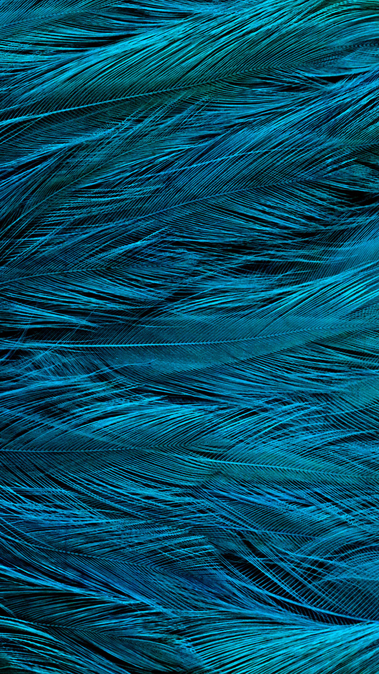 iPhonepapers iPhone Wallpaper Vt31 Feather Blue Bird